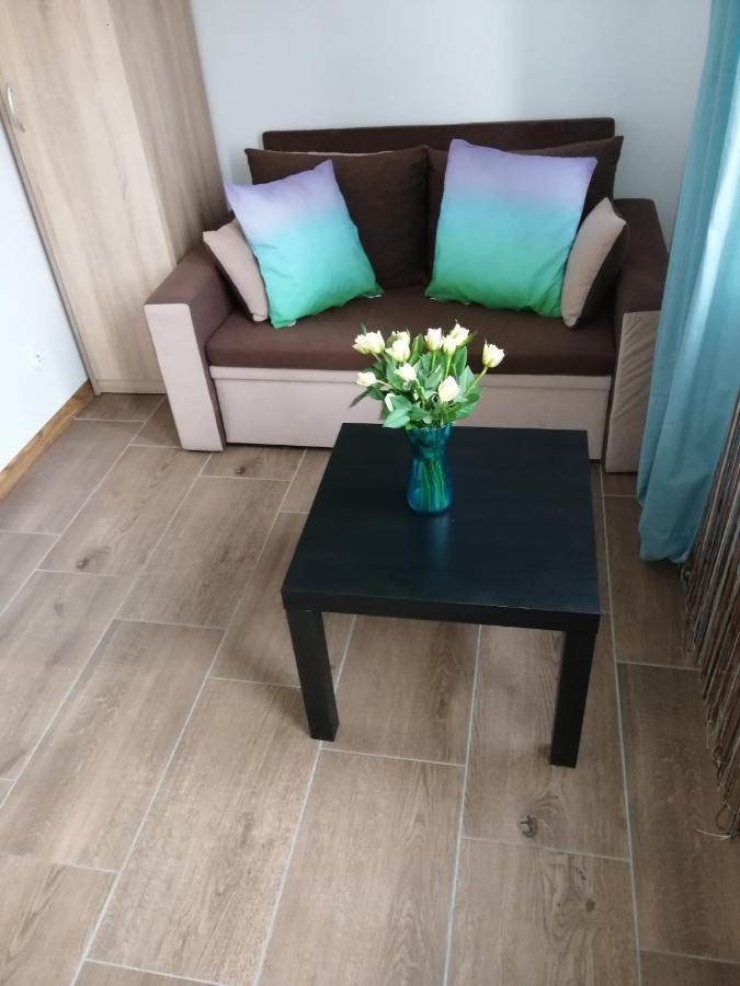 Pokoje - Studio Gliwice I Przy Onkologii Exterior foto